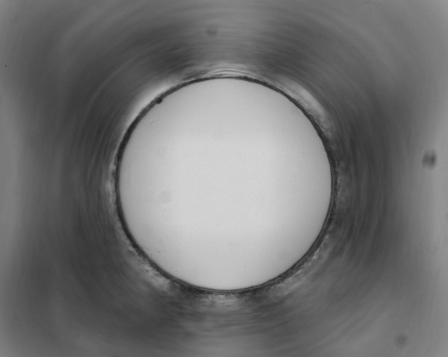 X0000101231190200807251127