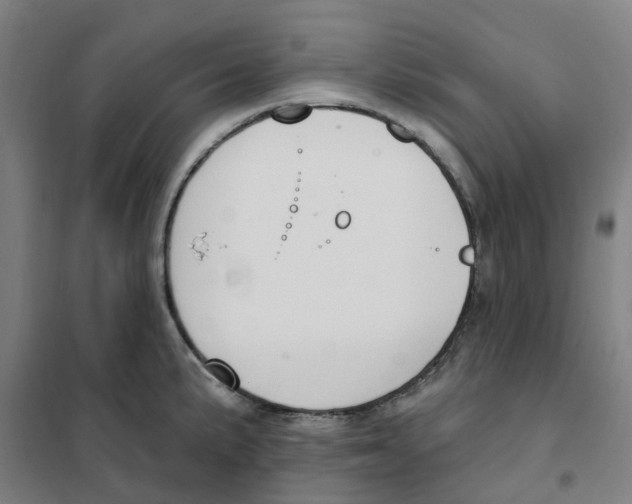 X0000101231191200807251127