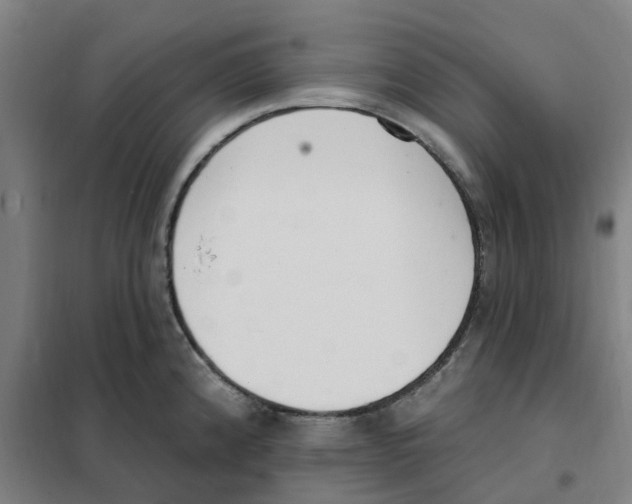 X0000101231192200807251127