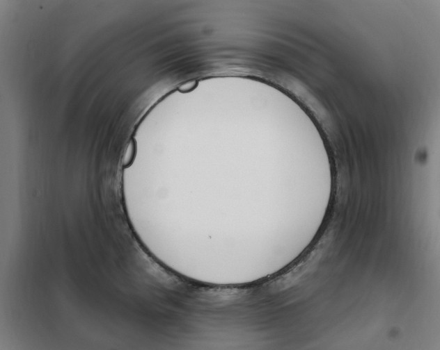 X0000101231193200807251127