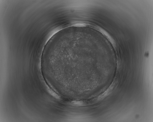 X0000101231194200807251127