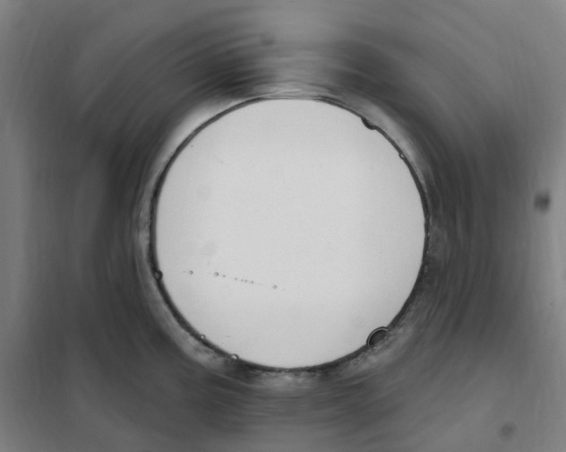 X0000101231195200807251127