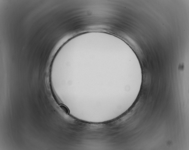 X0000101231196200807251127