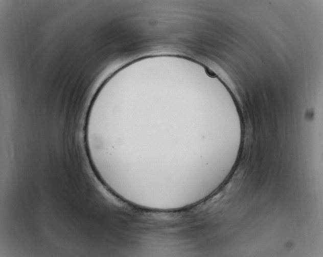 X0000101231197200807251127