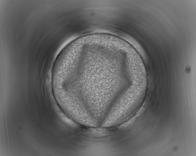 X0000101231198200807251127