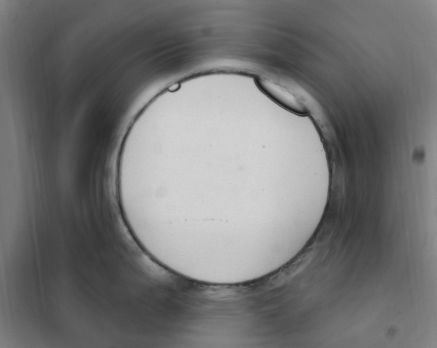 X0000101231199200807251127