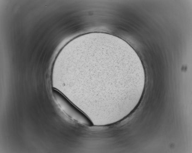 X0000101231200200807251127
