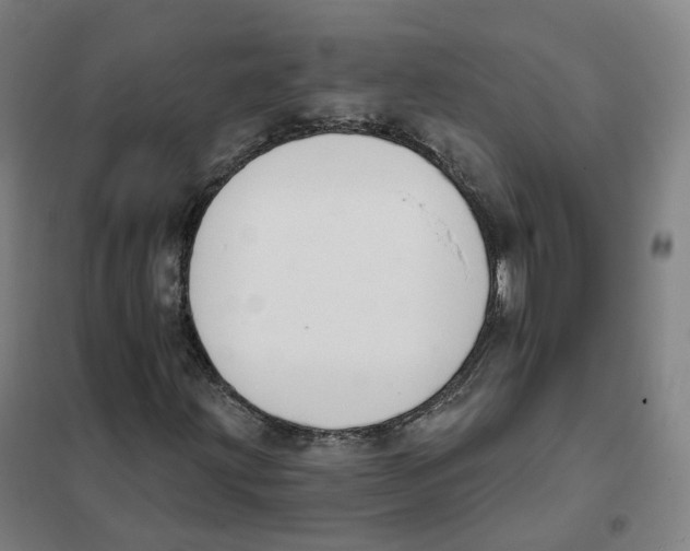 X0000101231203200807251126