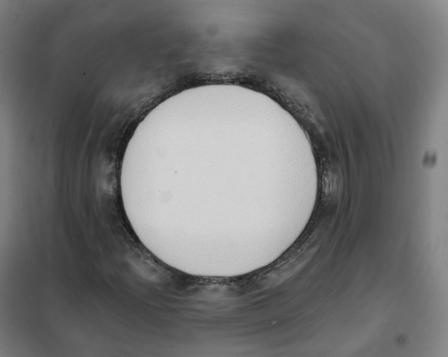 X0000101231204200807251126