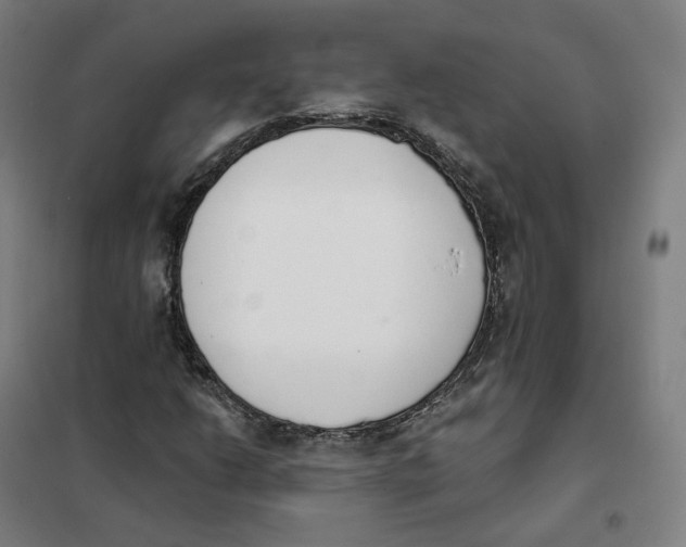 X0000101231206200807251126