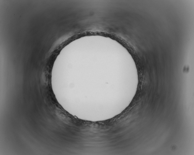 X0000101231207200807251126