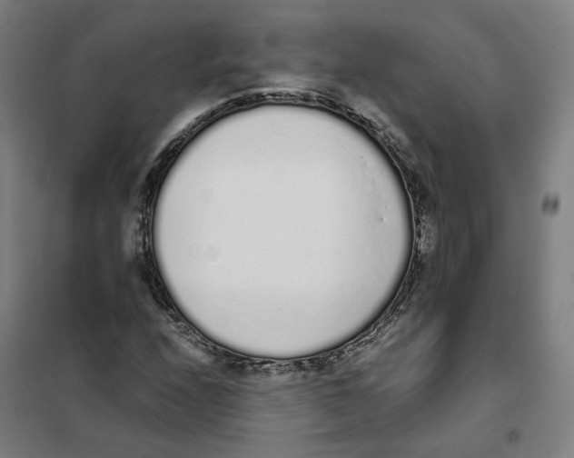 X0000101231208200807251126