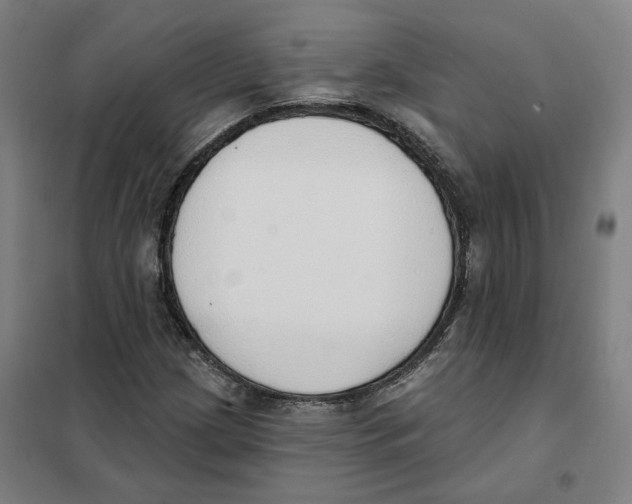 X0000101231209200807251126