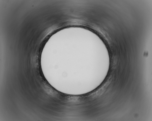 X0000101231211200807251126