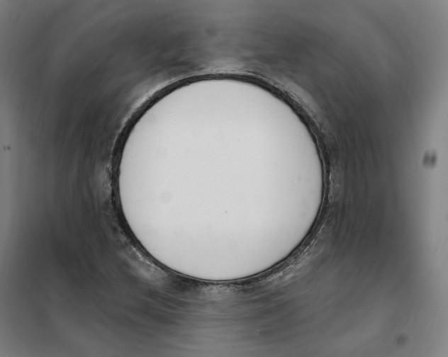 X0000101231212200807251126
