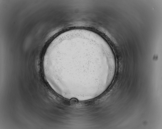 X0000101231213200807251126