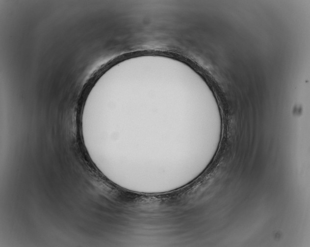 X0000101231214200807251126
