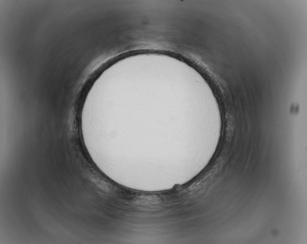 X0000101231215200807251126