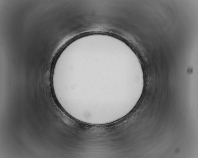 X0000101231216200807251126