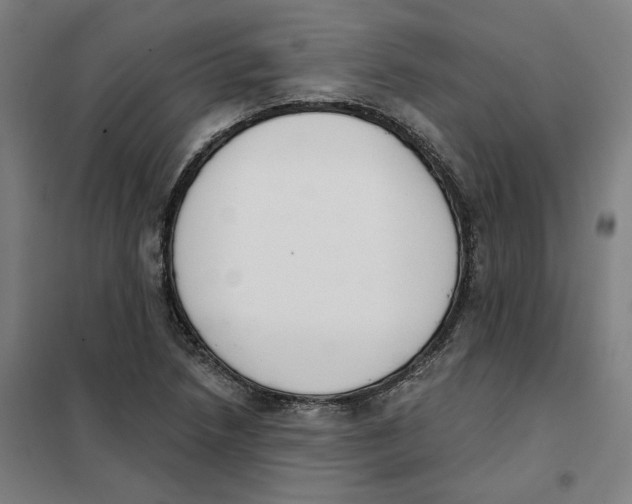 X0000101231218200807251126