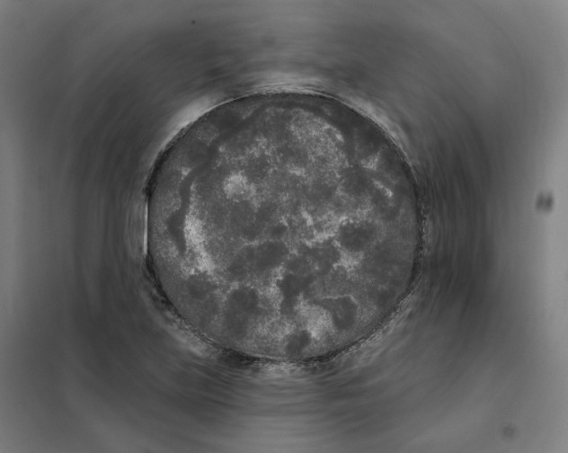 X0000101231219200807251126