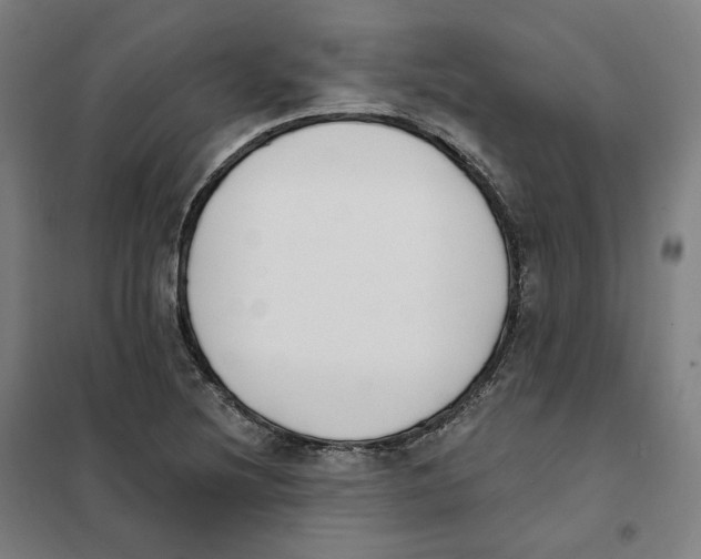 X0000101231220200807251126