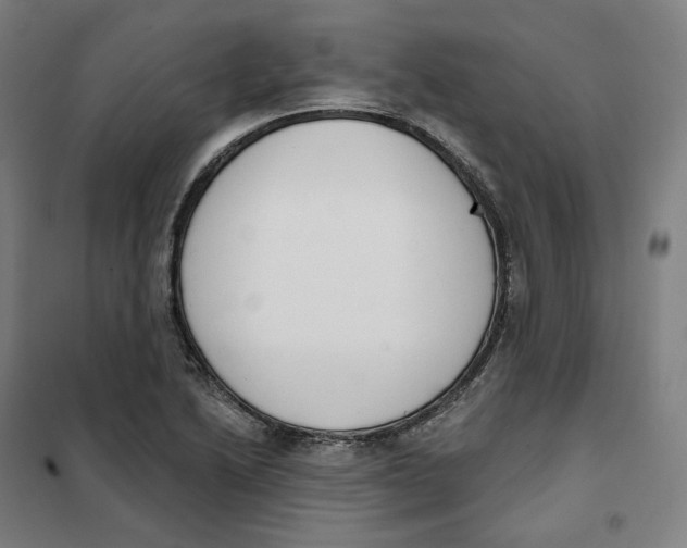 X0000101231222200807251126