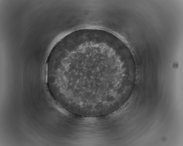 X0000101231223200807251126