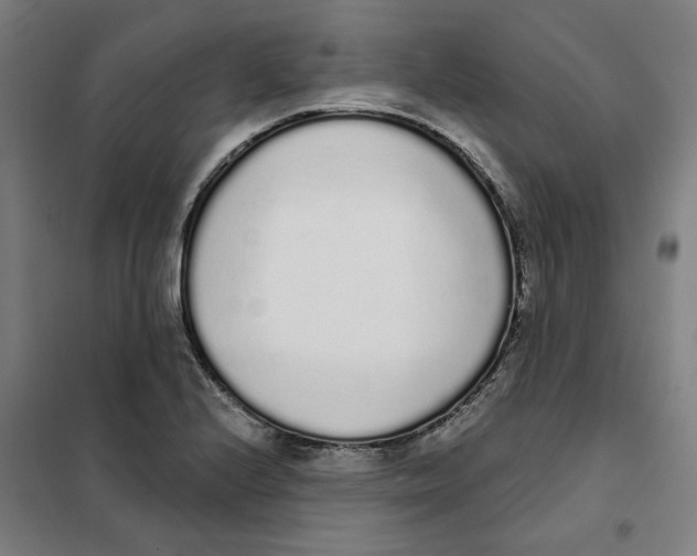 X0000101231224200807251126