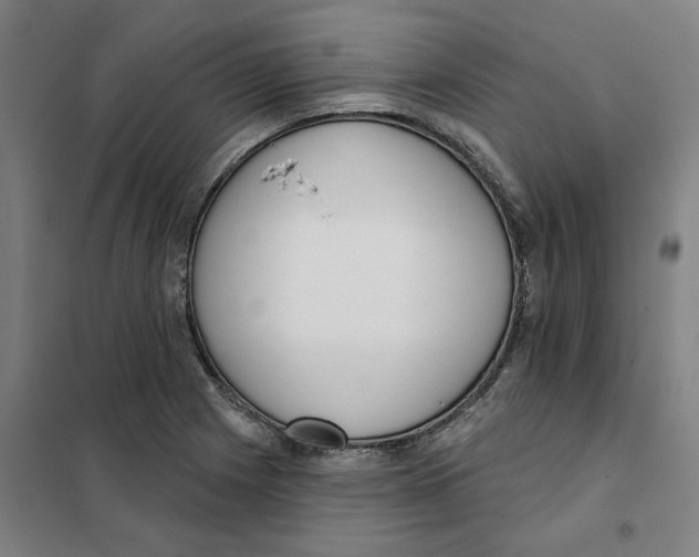 X0000101231225200807251126