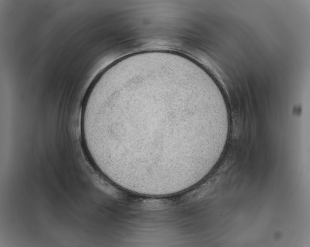 X0000101231227200807251126
