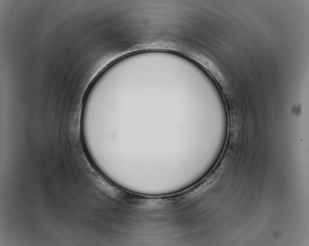 X0000101231228200807251126