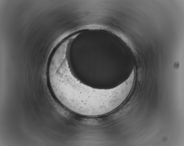 X0000101231229200807251126