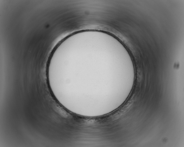 X0000101231230200807251127