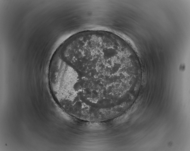 X0000101231231200807251127