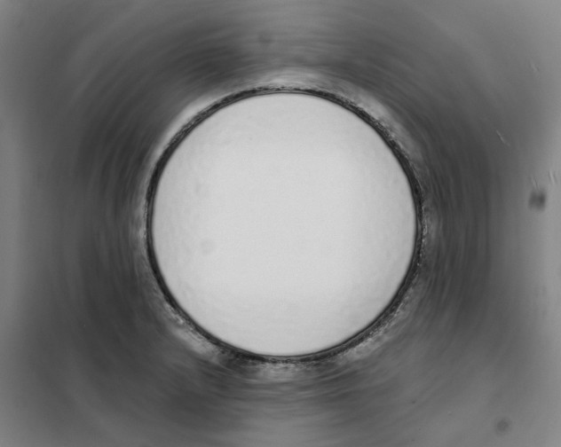 X0000101231232200807251127