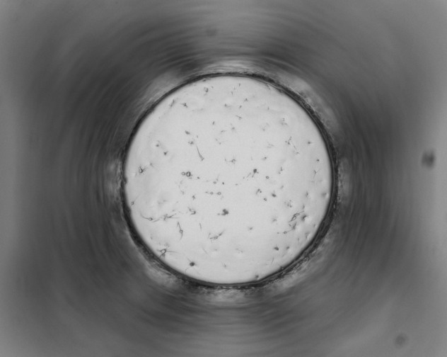 X0000101231233200807251127