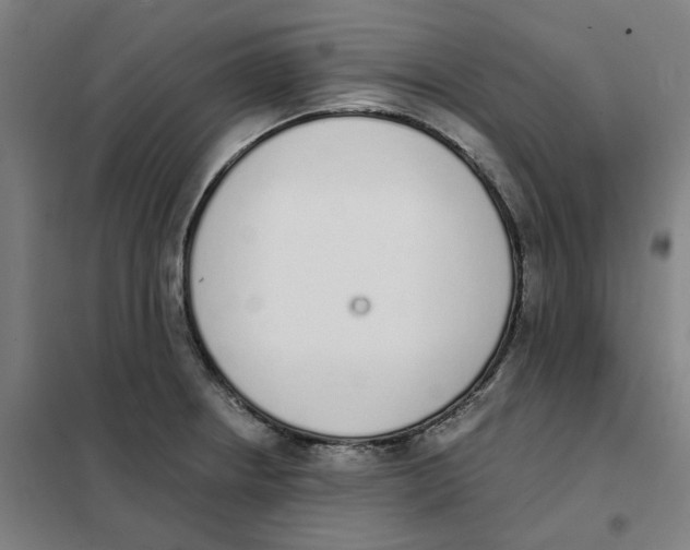 X0000101231234200807251127