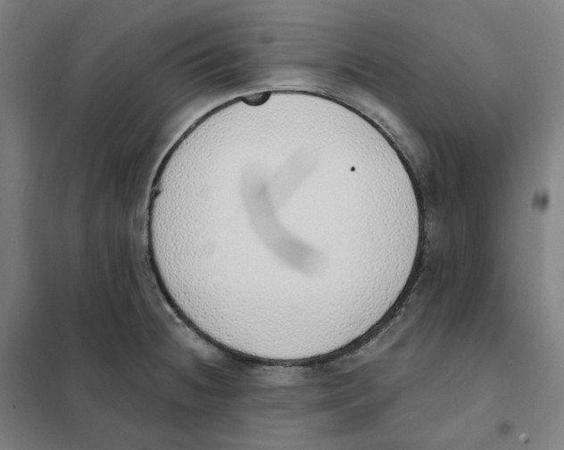 X0000101231236200807251127