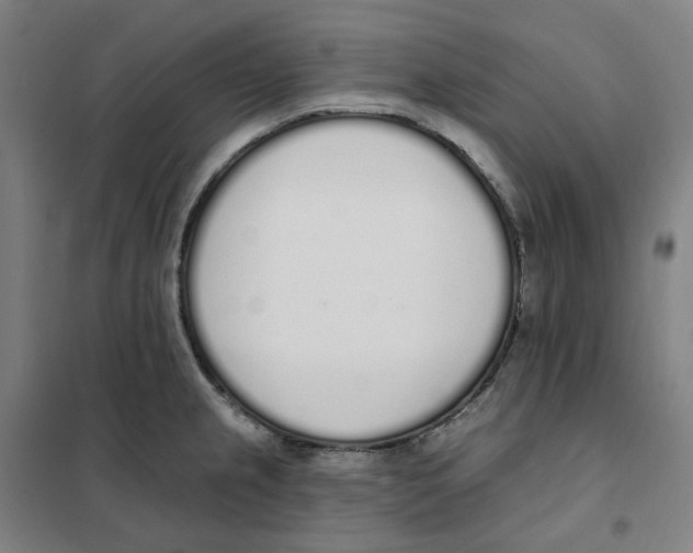 X0000101231237200807251127