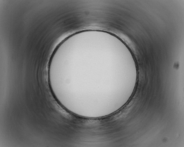 X0000101231238200807251127