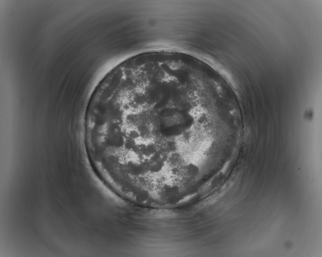 X0000101231239200807251127