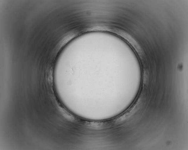 X0000101231241200807251127