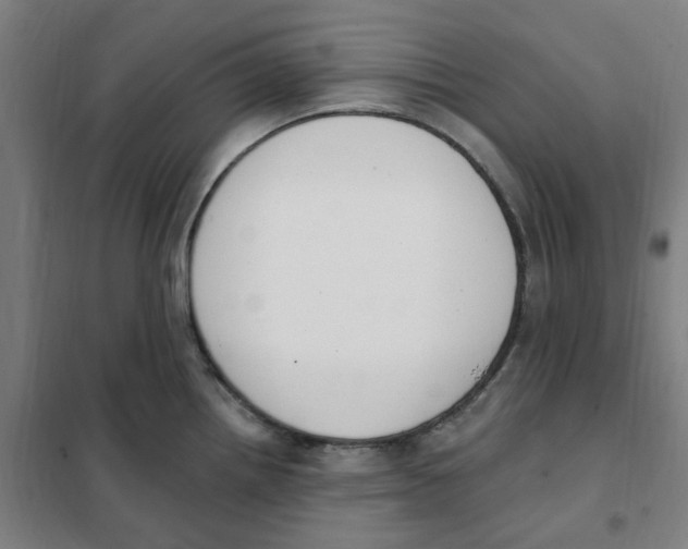X0000101231242200807251127