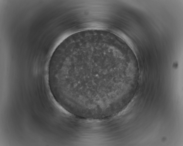 X0000101231243200807251127