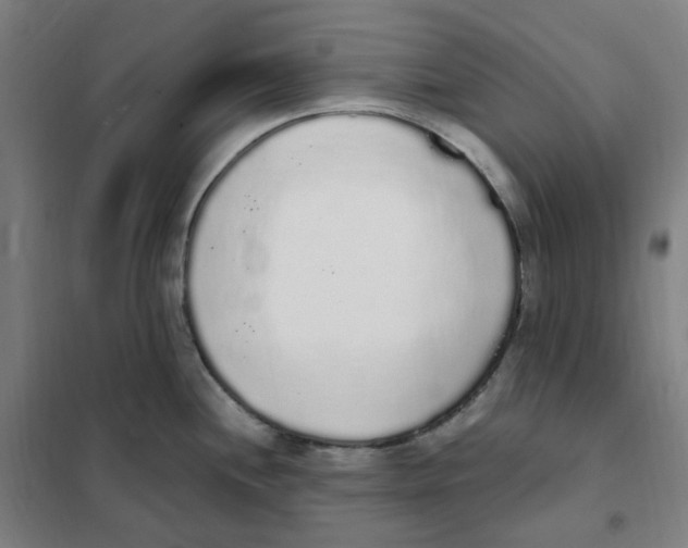 X0000101231244200807251127