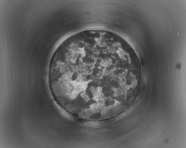 X0000101231245200807251127