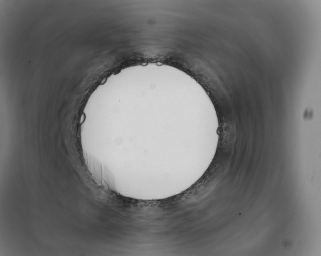 X0000101231249200807251126