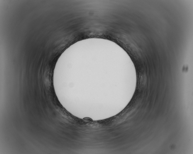 X0000101231250200807251126