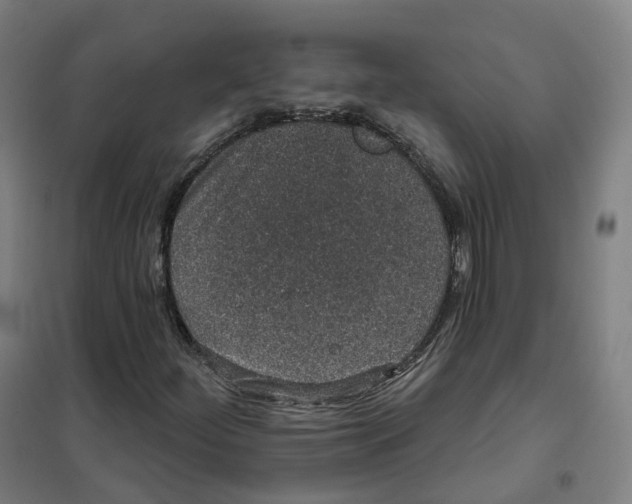 X0000101231252200807251126